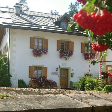 Achillea Bed & Breakfast Vigo di Fassa Bagian luar foto