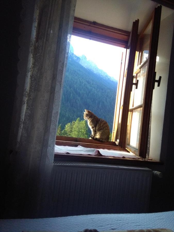 Achillea Bed & Breakfast Vigo di Fassa Bagian luar foto