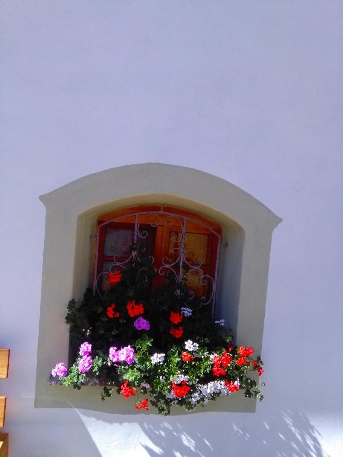 Achillea Bed & Breakfast Vigo di Fassa Bagian luar foto