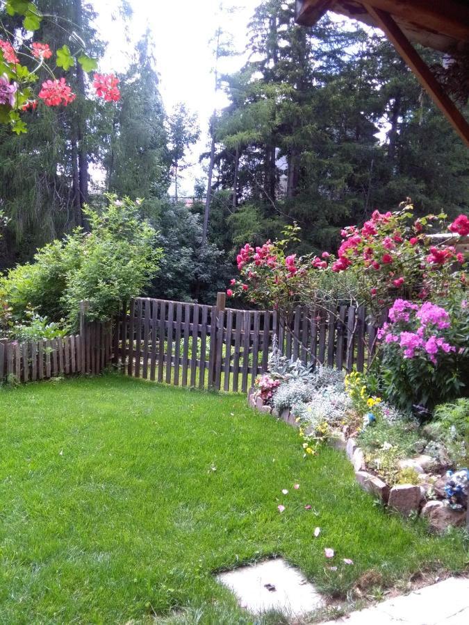 Achillea Bed & Breakfast Vigo di Fassa Bagian luar foto